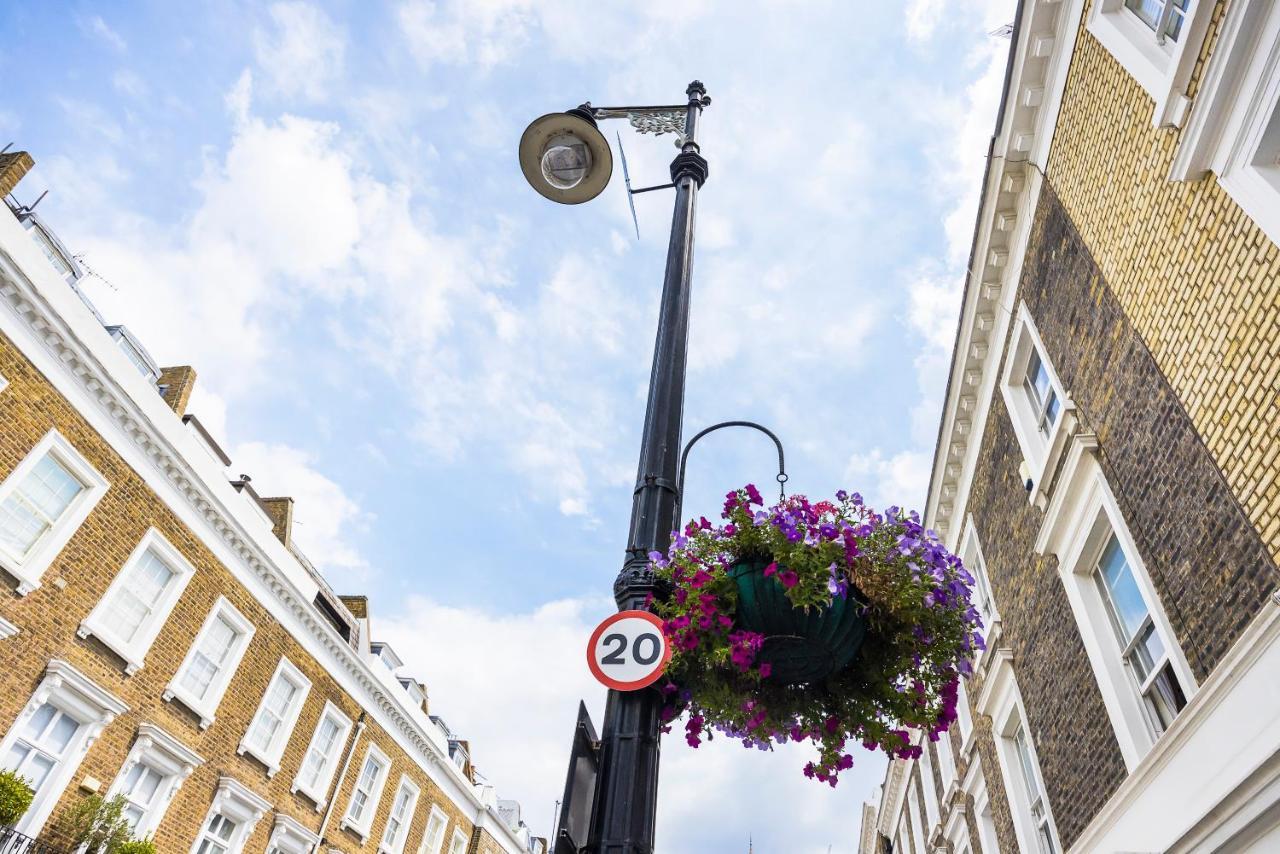 Pimlico Hub Londres